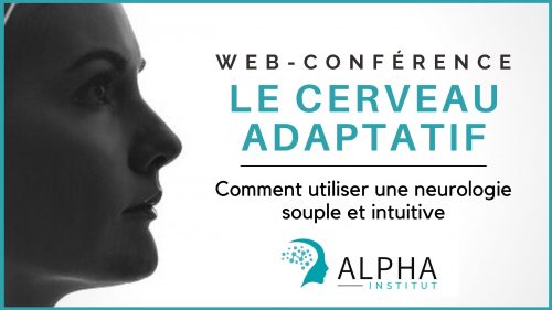 Adaptatif Adaptatif
